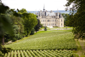 Visit French Wineries
