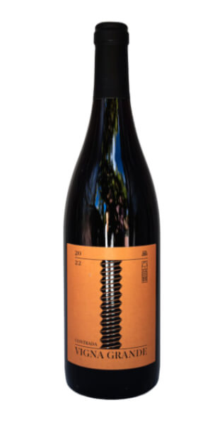 Contrada Vigna Grande 2023